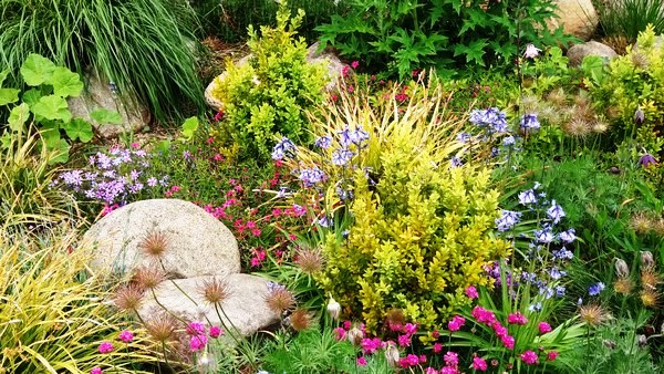 Tuin Geziena Scholtalbers - Het Tuinpad Op / In Nachbars Garten