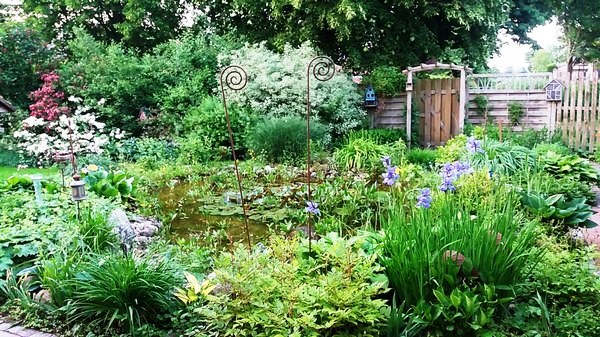 Tuin Geziena Scholtalbers - Het Tuinpad Op / In Nachbars Garten