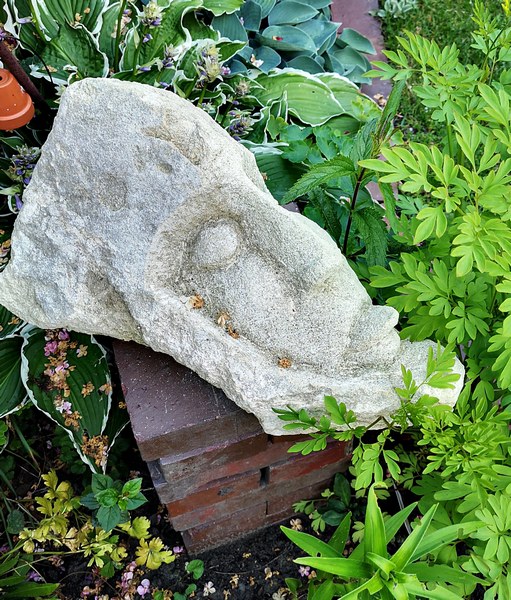 Tuin Am Schwarzen Brack - Het Tuinpad Op / In Nachbars Garten