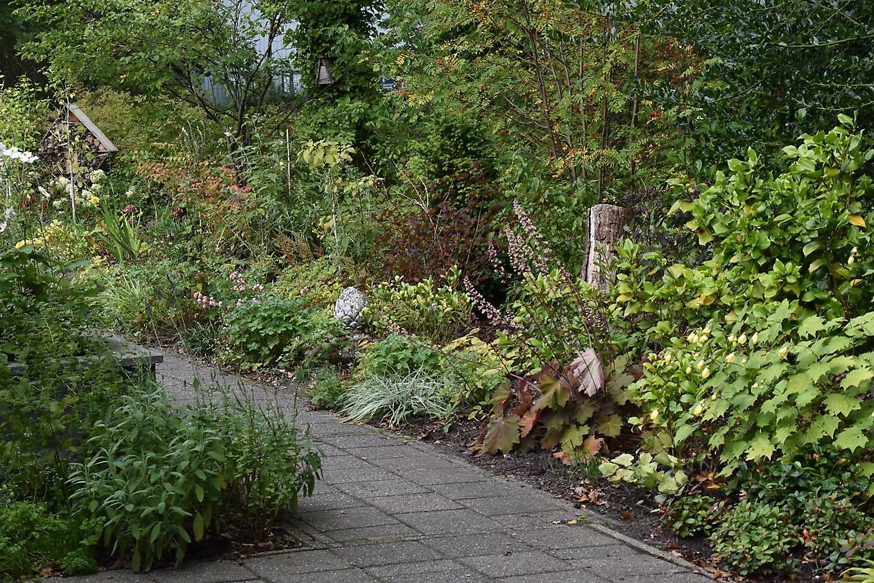 Uilenborg II - Het Tuinpad Op / In Nachbars Garten