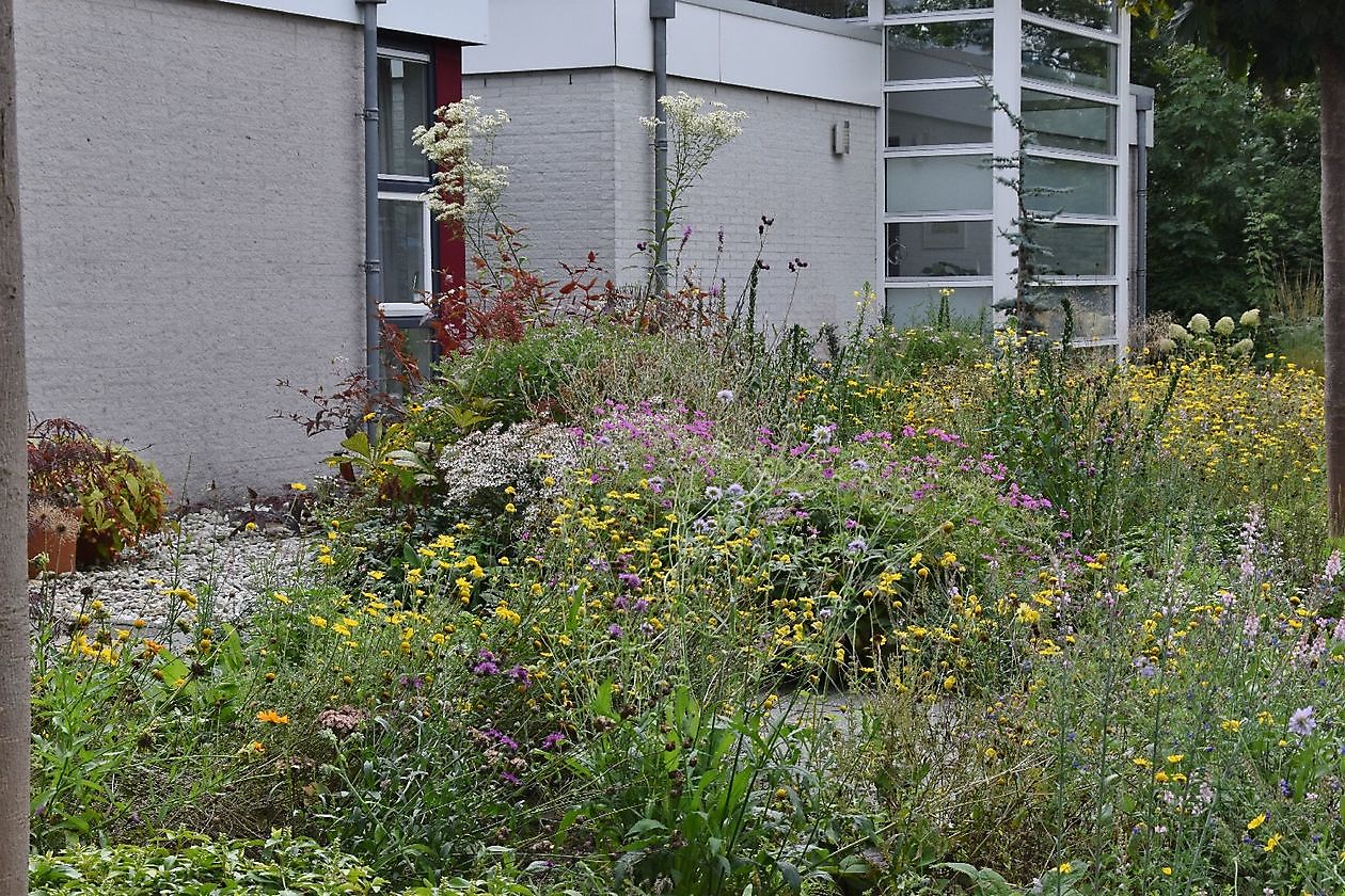 Uilenborg II - Het Tuinpad Op / In Nachbars Garten