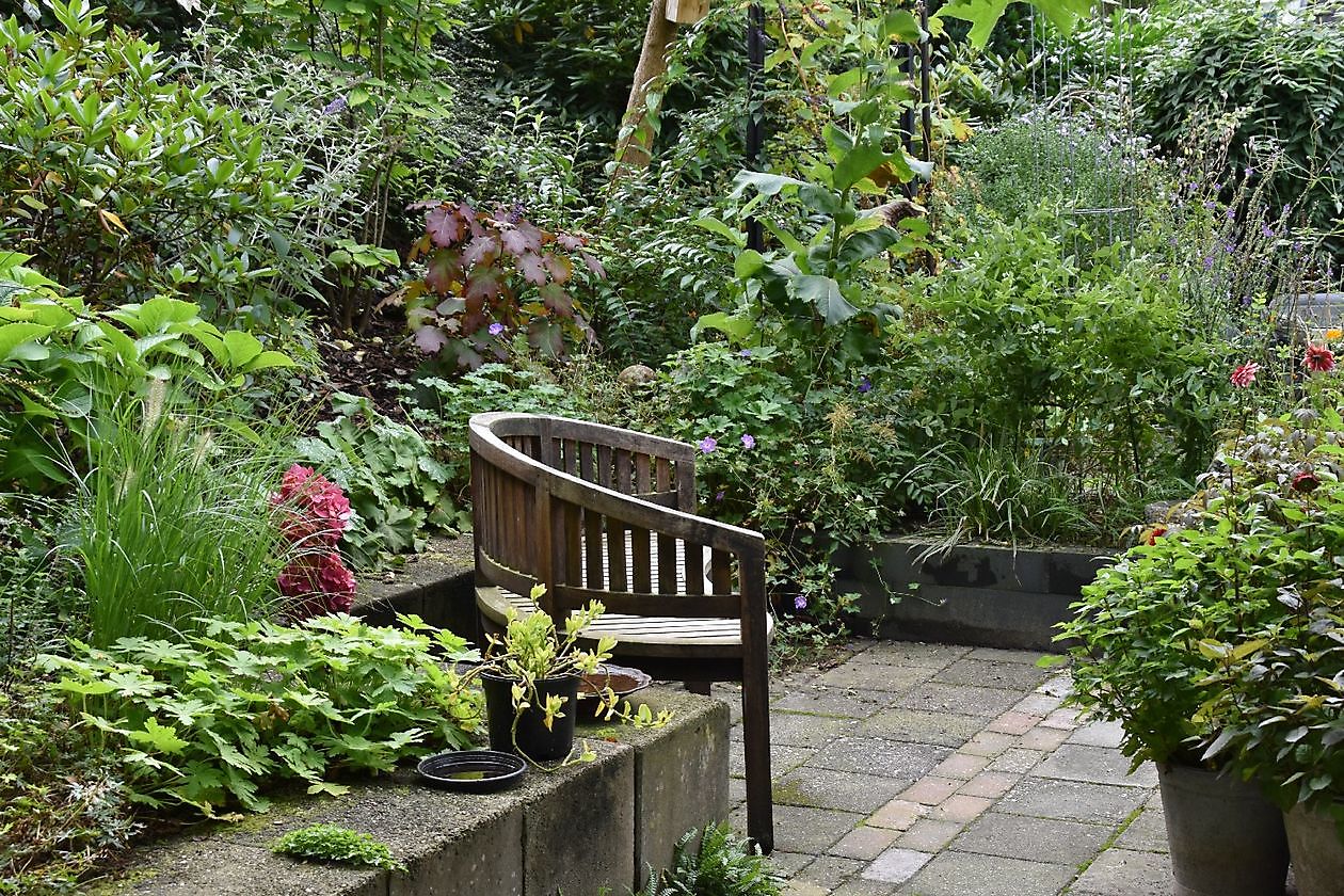 Uilenborg II - Het Tuinpad Op / In Nachbars Garten