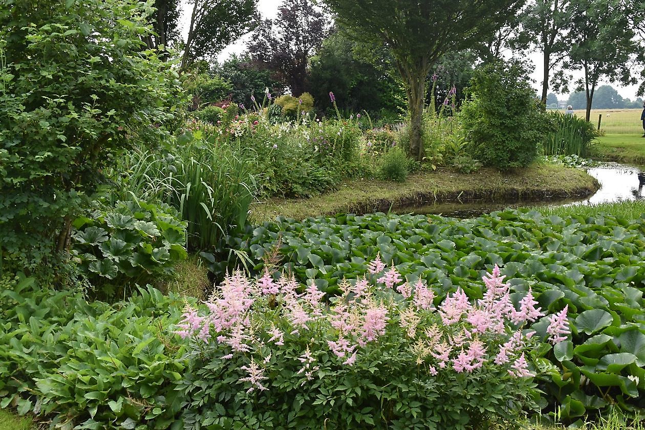 Meerstadtuin - Het Tuinpad Op / In Nachbars Garten