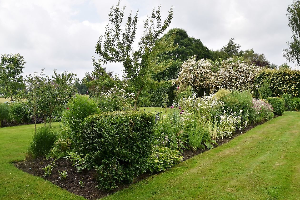 Meerstadtuin - Het Tuinpad Op / In Nachbars Garten