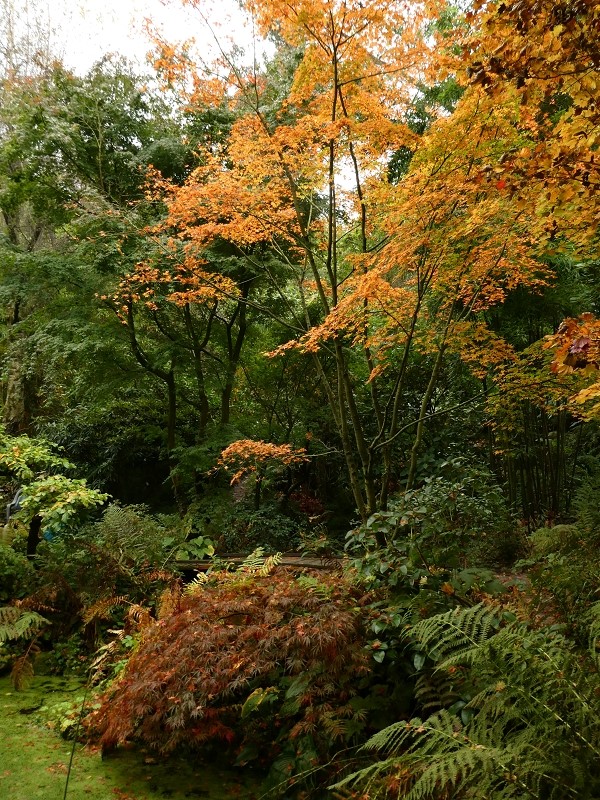 Garten der Stille - Het Tuinpad Op / In Nachbars Garten