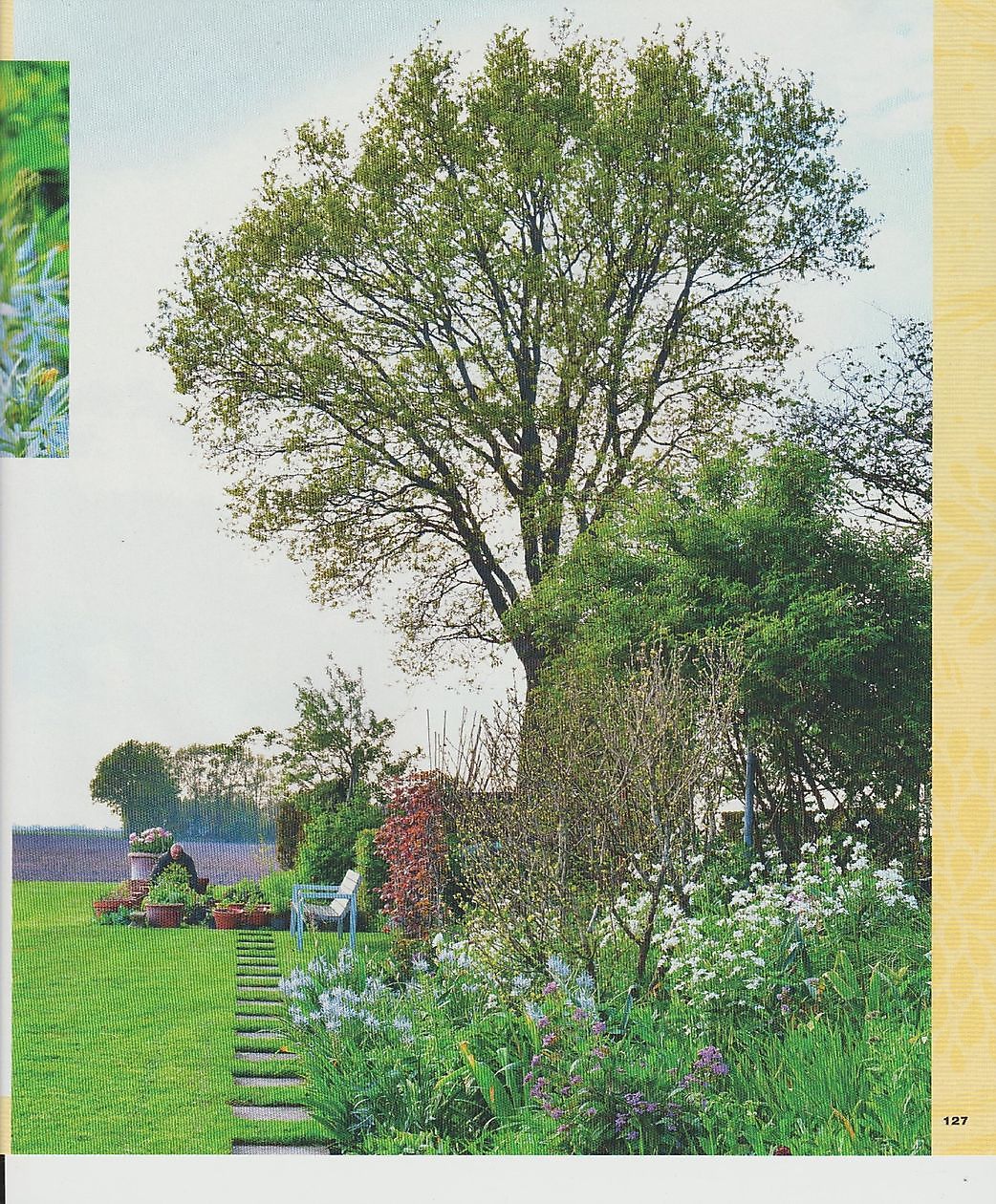 Tuin Nauta de Blaauw - Het Tuinpad Op / In Nachbars Garten