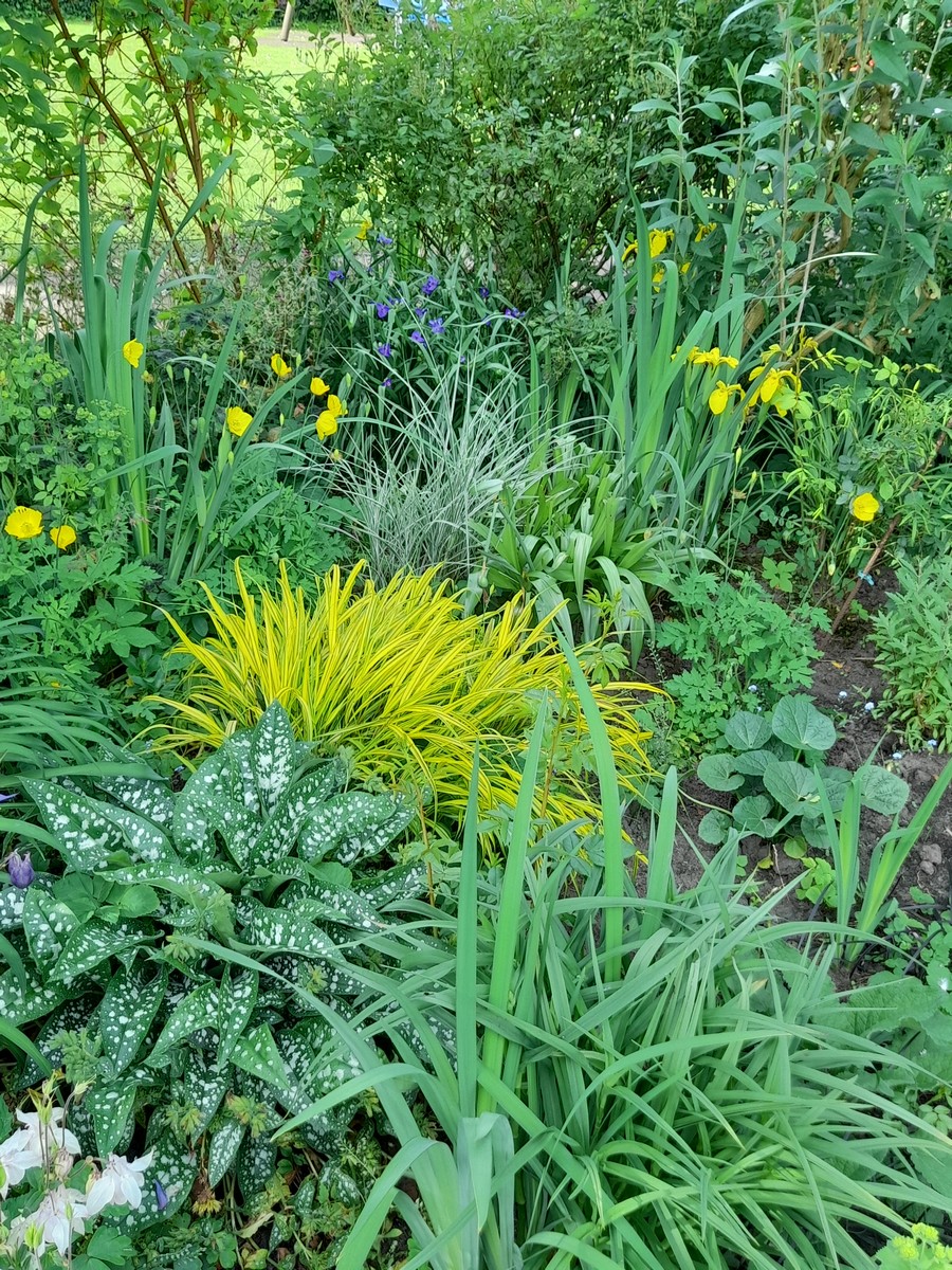 Christa Welling - Het Tuinpad Op / In Nachbars Garten