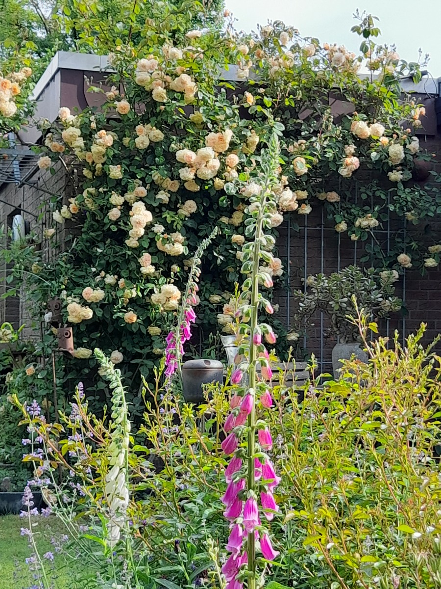 Christa Welling - Het Tuinpad Op / In Nachbars Garten