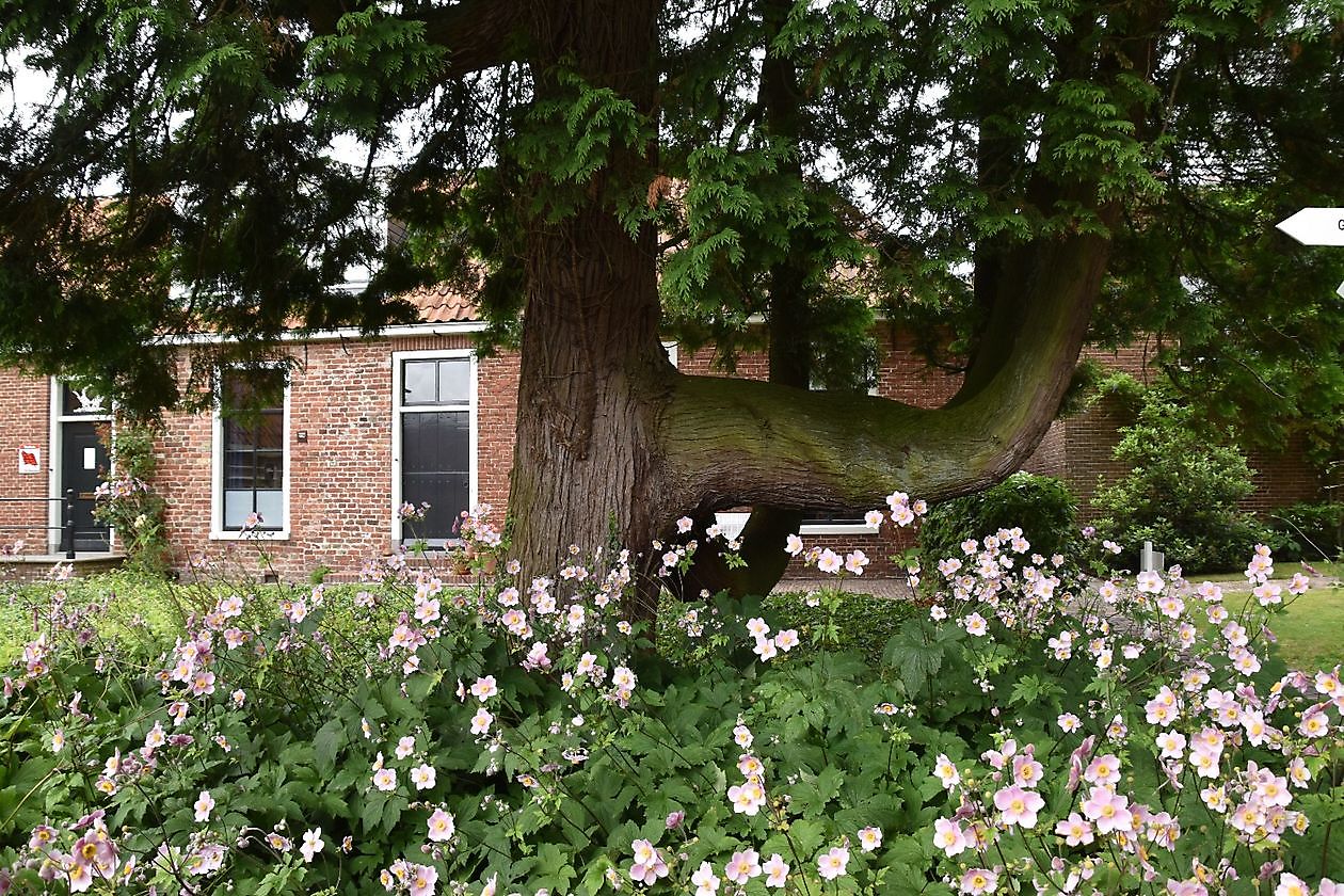 Openluchtmuseum Het Hoogeland - Het Tuinpad Op / In Nachbars Garten