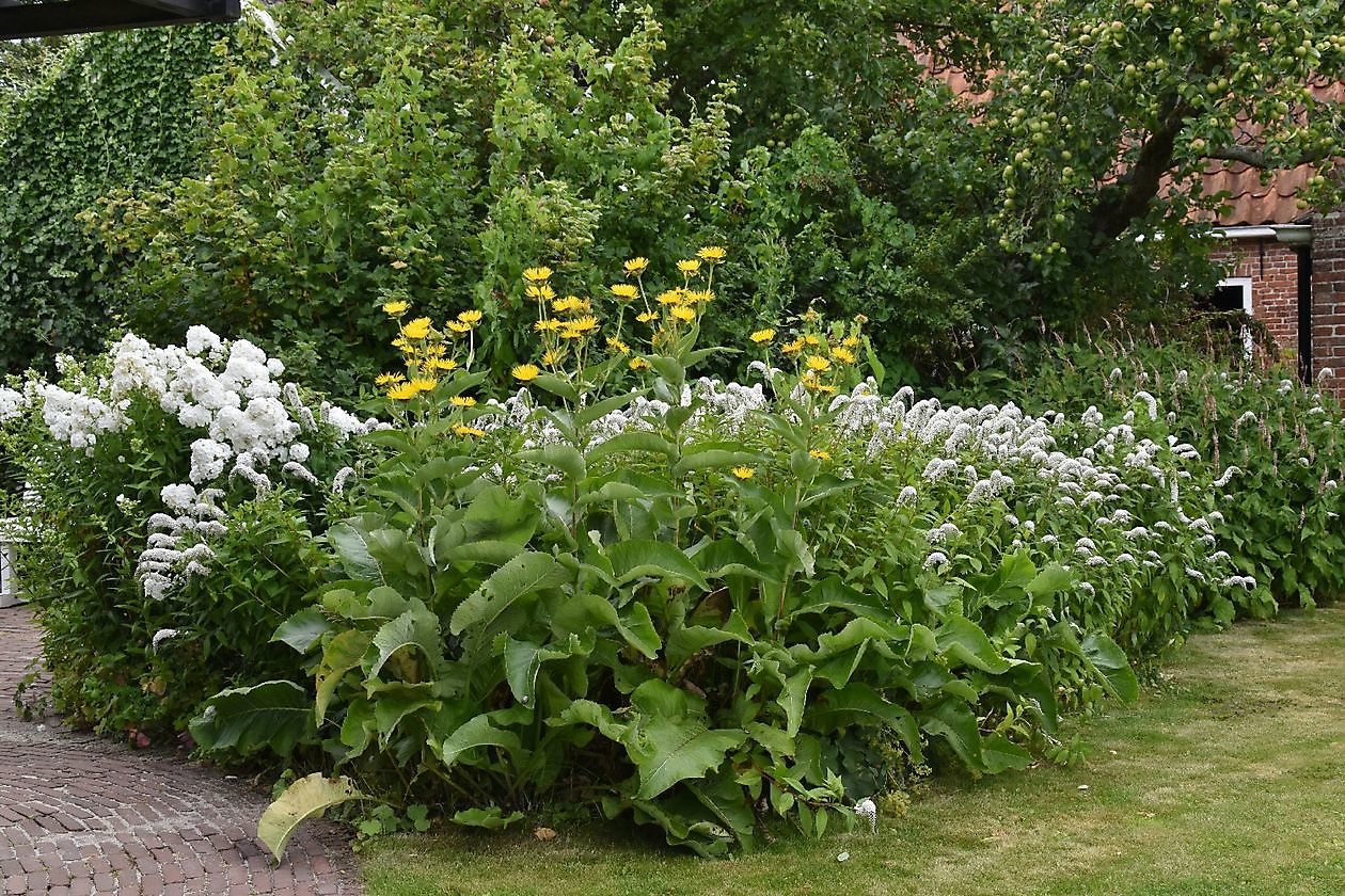 Openluchtmuseum Het Hoogeland - Het Tuinpad Op / In Nachbars Garten