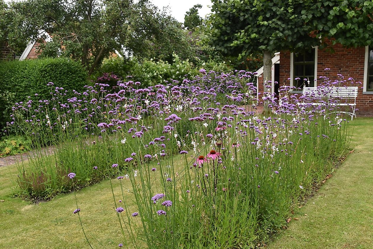 Openluchtmuseum Het Hoogeland - Het Tuinpad Op / In Nachbars Garten