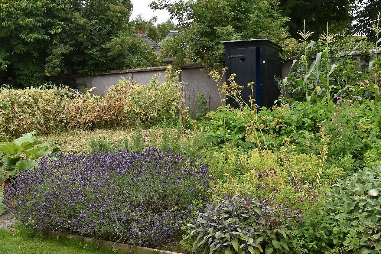 Openluchtmuseum Het Hoogeland - Het Tuinpad Op / In Nachbars Garten