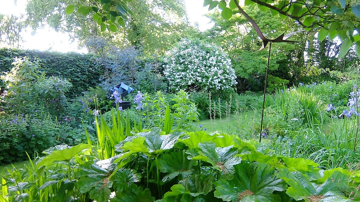 Tuin Marie-José Tepe - Het Tuinpad Op / In Nachbars Garten