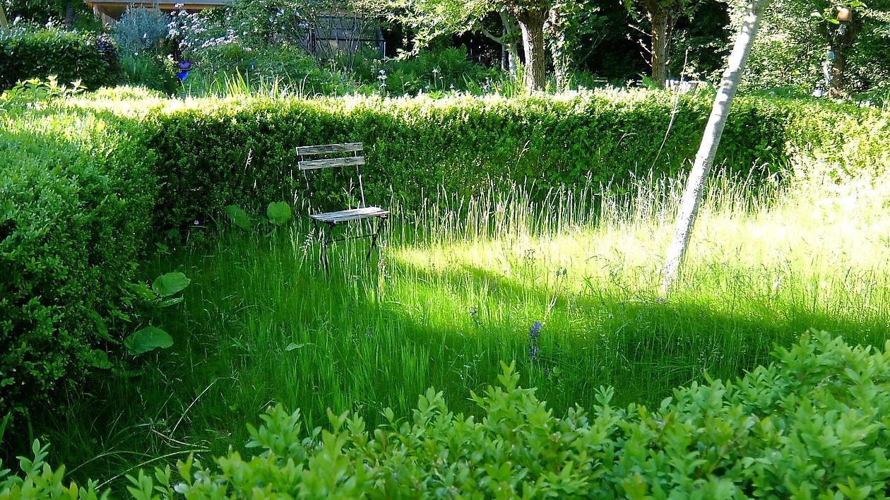 Tuin Marie-José Tepe - Het Tuinpad Op / In Nachbars Garten