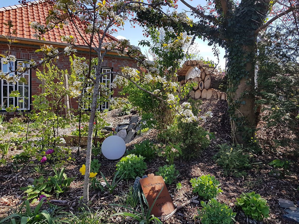 Droomtuin - Het Tuinpad Op / In Nachbars Garten