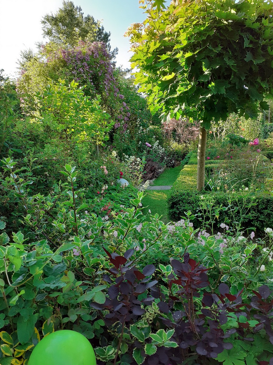 Droomtuin - Het Tuinpad Op / In Nachbars Garten