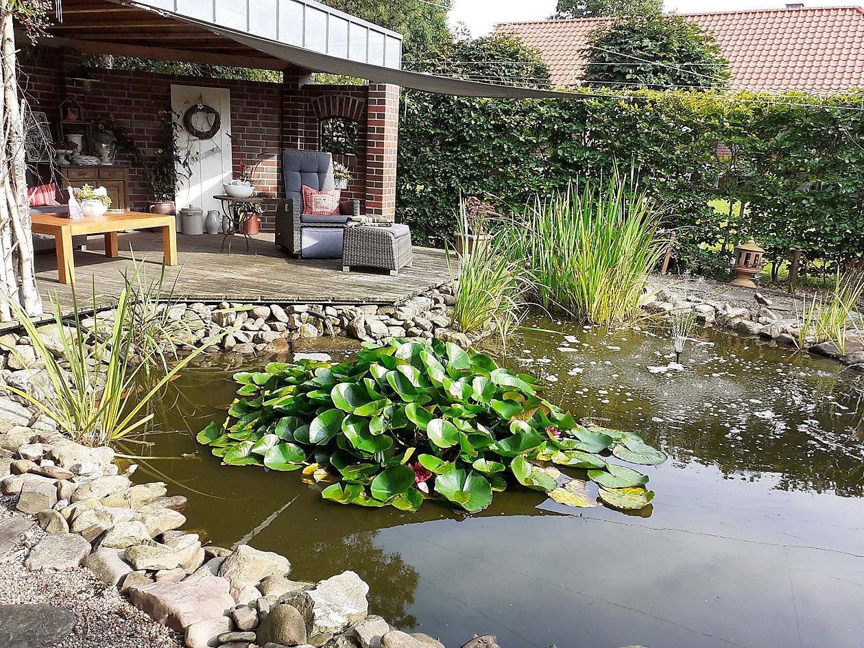 Droomtuin - Het Tuinpad Op / In Nachbars Garten