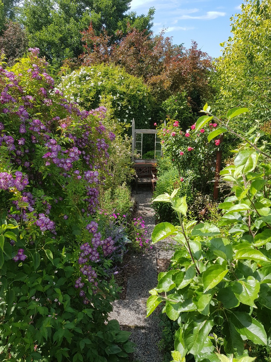 Droomtuin - Het Tuinpad Op / In Nachbars Garten