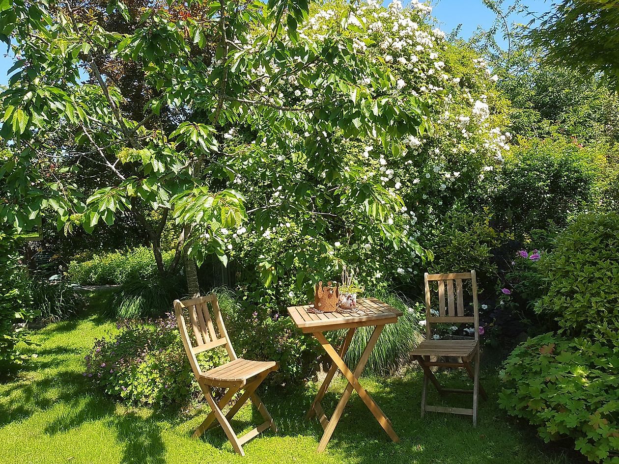 Droomtuin - Het Tuinpad Op / In Nachbars Garten