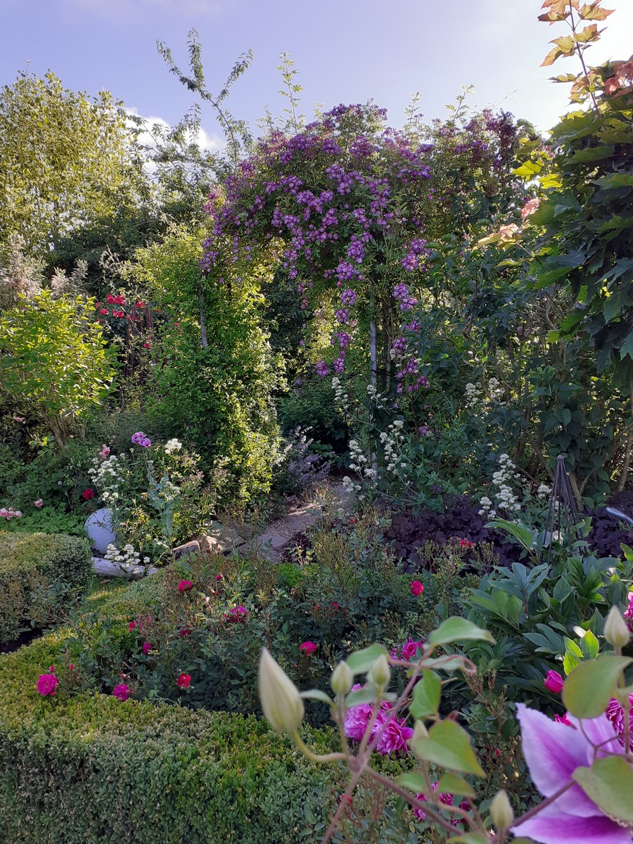 Droomtuin - Het Tuinpad Op / In Nachbars Garten