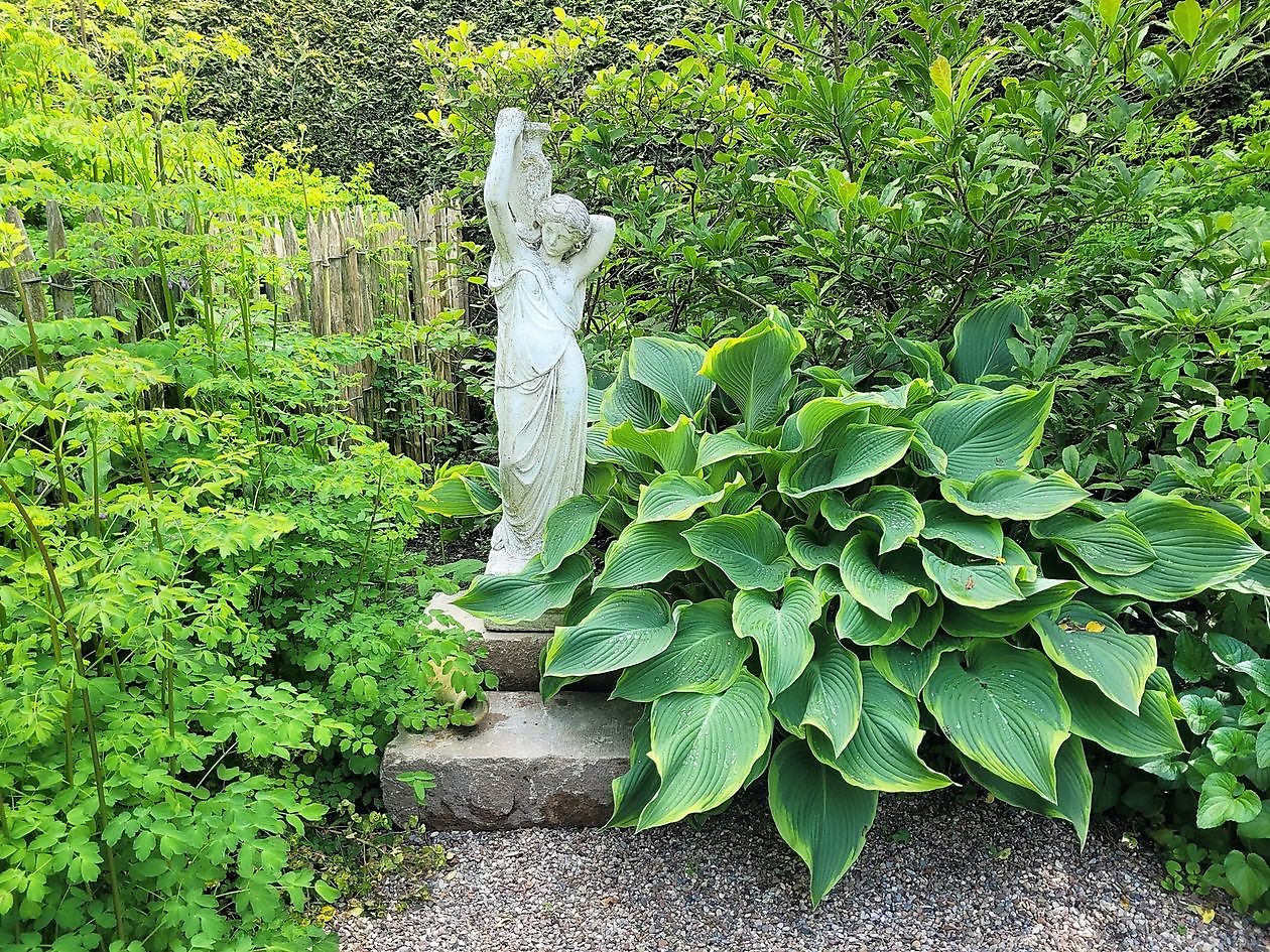 Spetzer Tuun - Het Tuinpad Op / In Nachbars Garten