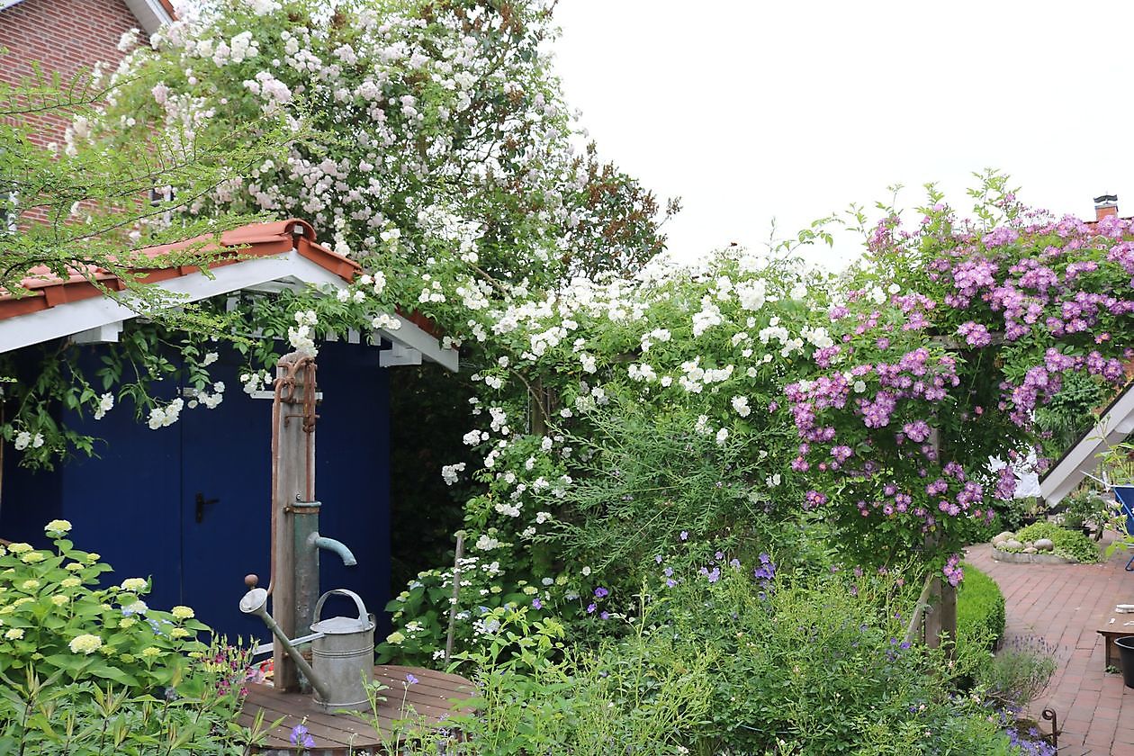 Tuin Beim Holze - Het Tuinpad Op / In Nachbars Garten
