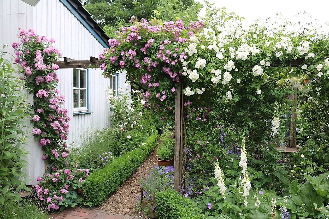 Tuin Beim Holze - Het Tuinpad Op / In Nachbars Garten