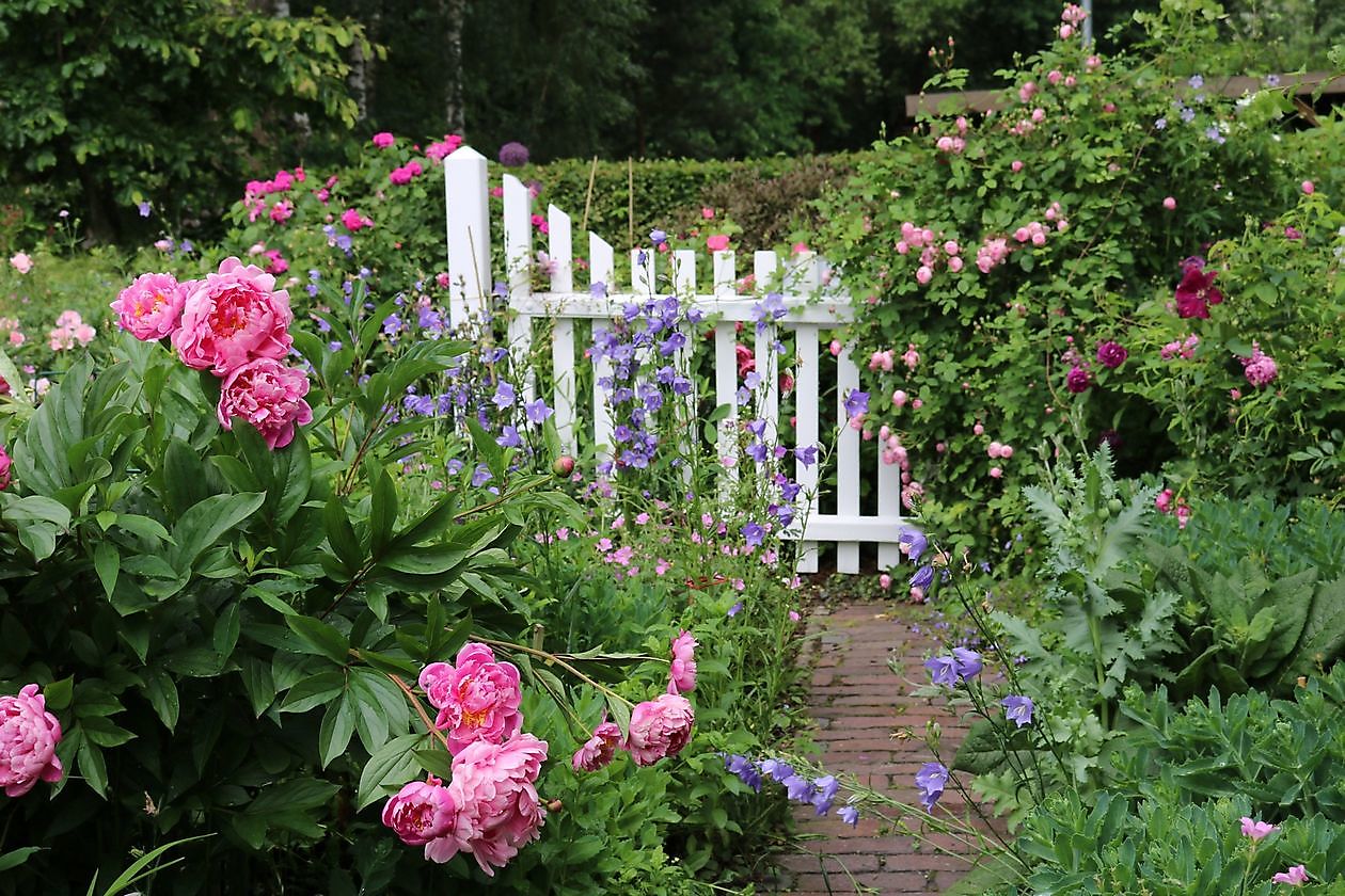 Tuin Beim Holze - Het Tuinpad Op / In Nachbars Garten