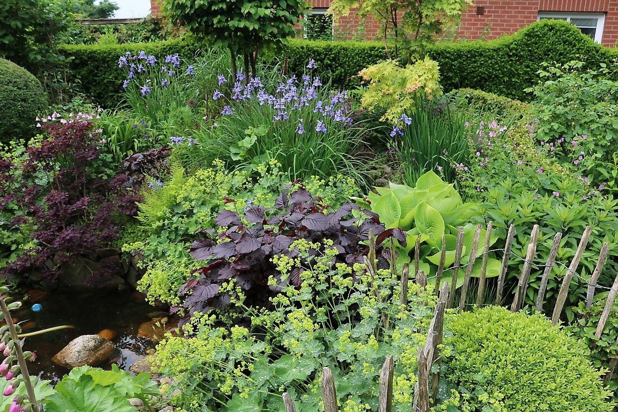 Tuin Beim Holze - Het Tuinpad Op / In Nachbars Garten