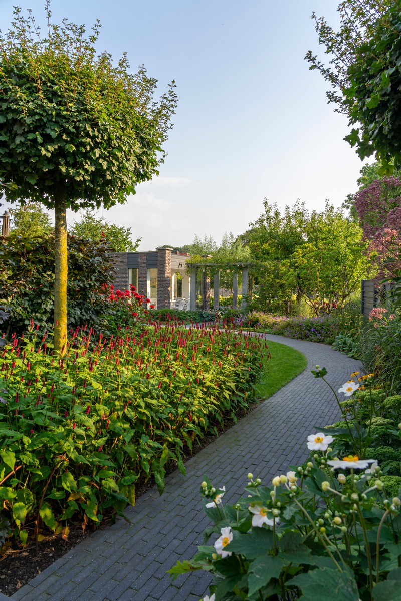 Friese Patiotuin - Het Tuinpad Op / In Nachbars Garten