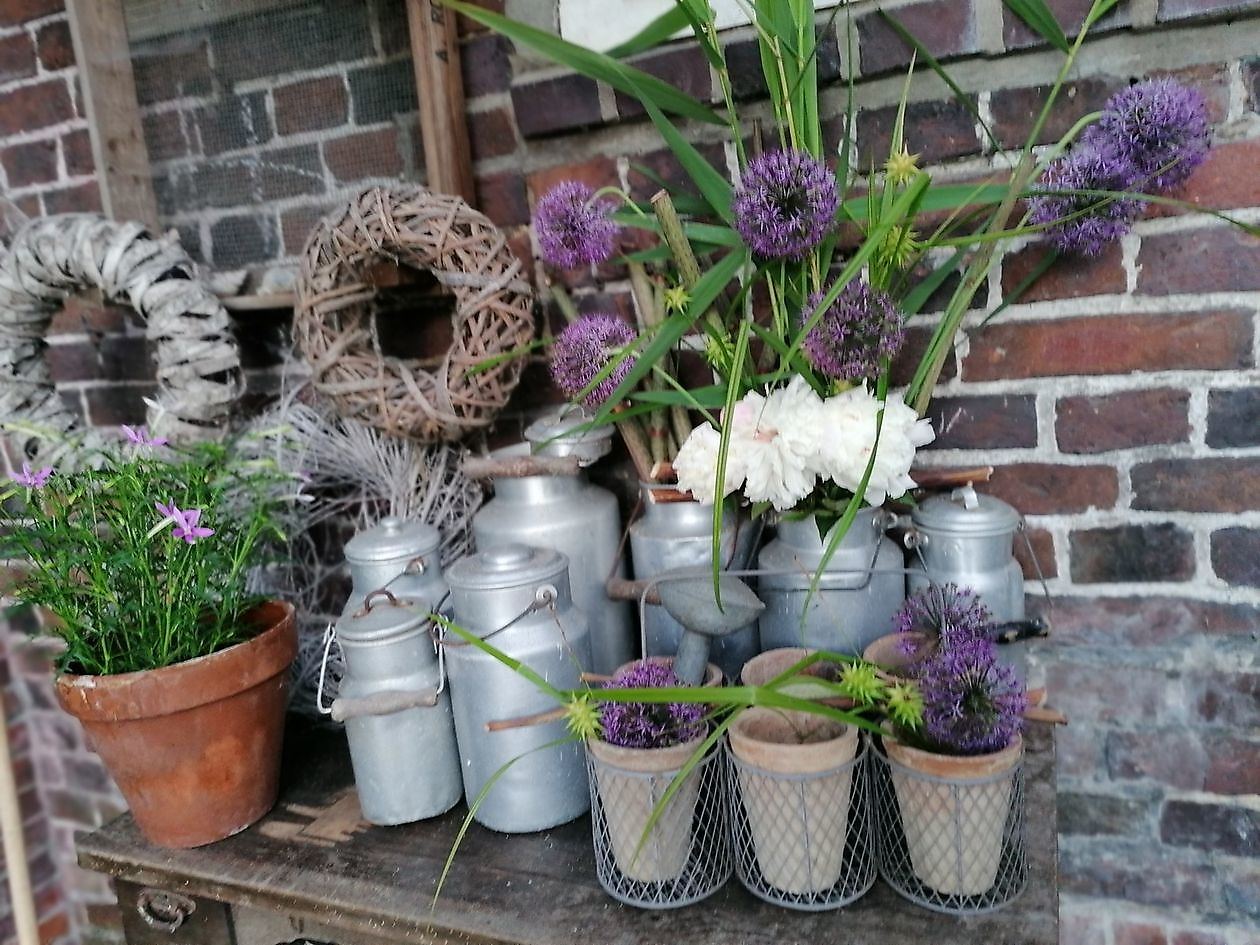 Der versteckte Garten am Jadebusen - Het Tuinpad Op / In Nachbars Garten