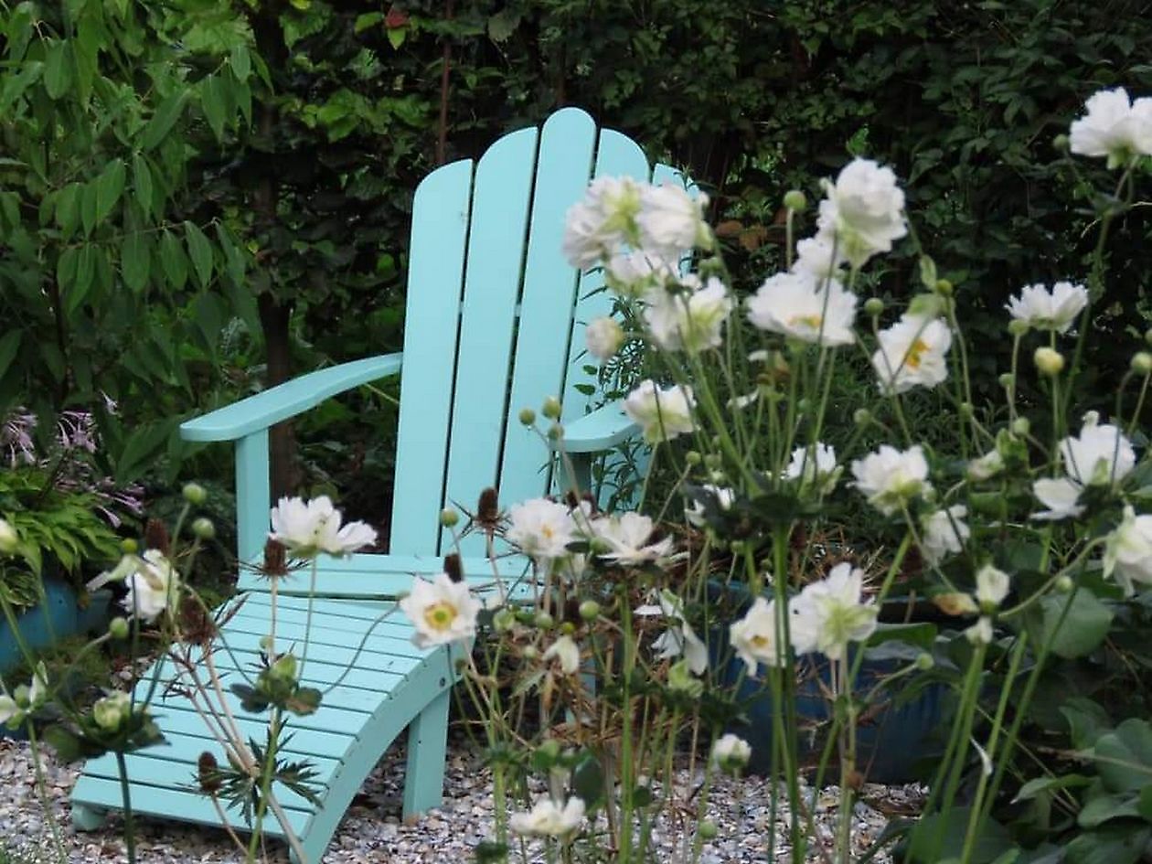 Der versteckte Garten am Jadebusen - Het Tuinpad Op / In Nachbars Garten