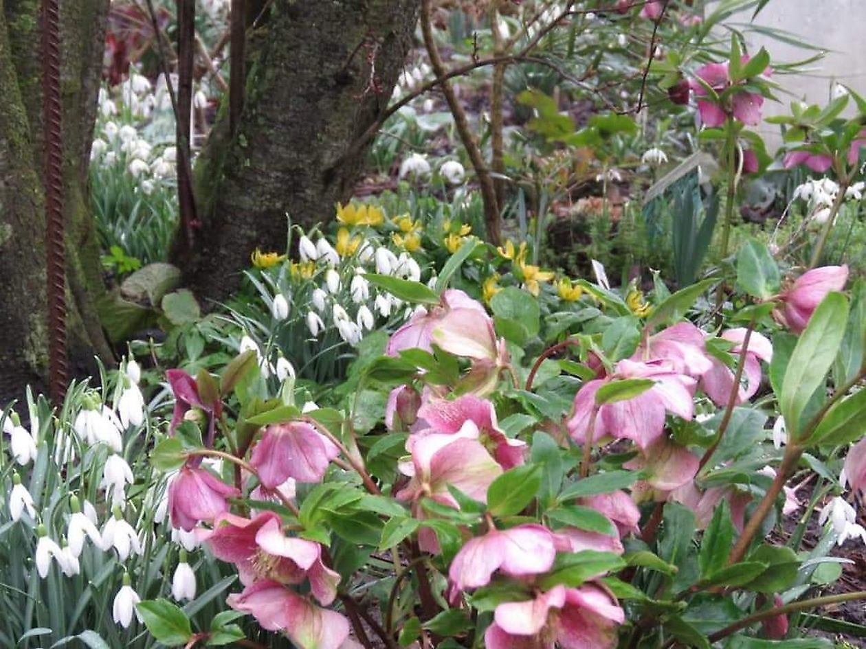 Der versteckte Garten am Jadebusen - Het Tuinpad Op / In Nachbars Garten