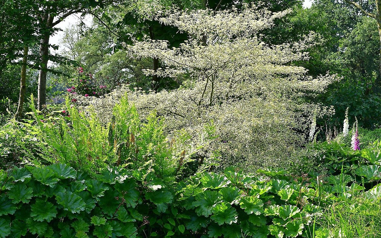 Tuindoenerij ‘t Vlijtig Loesje - Het Tuinpad Op / In Nachbars Garten