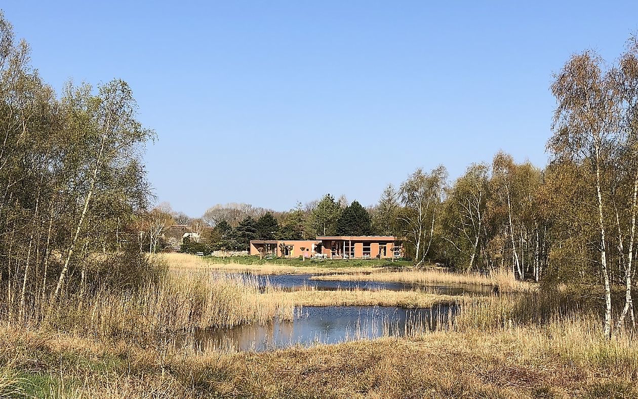 Tuin van Helen Buwalda - Het Tuinpad Op / In Nachbars Garten