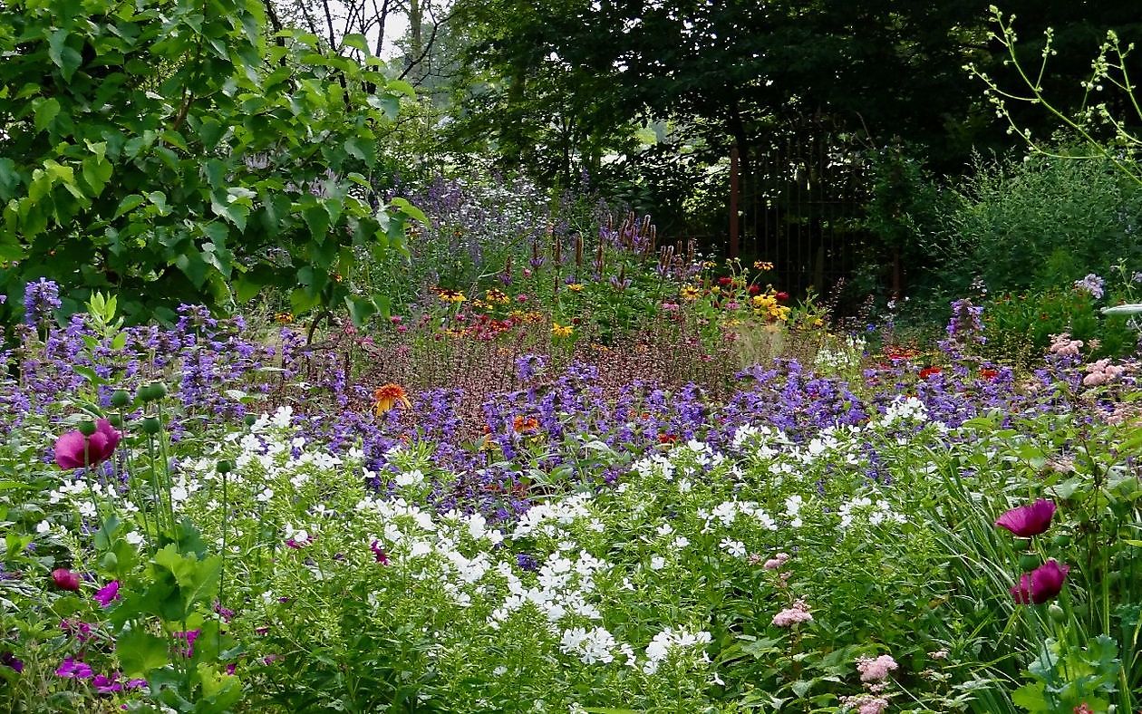 Roos van Hijken - Het Tuinpad Op / In Nachbars Garten