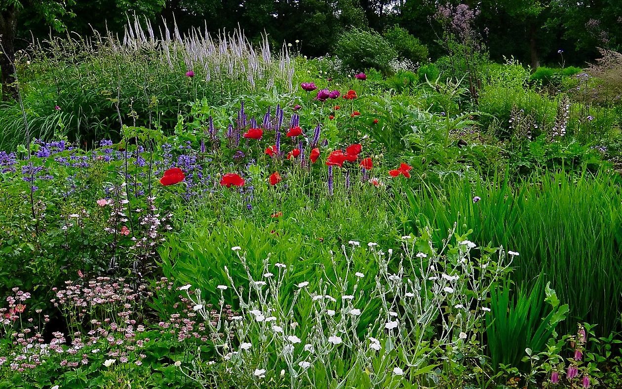 Roos van Hijken - Het Tuinpad Op / In Nachbars Garten