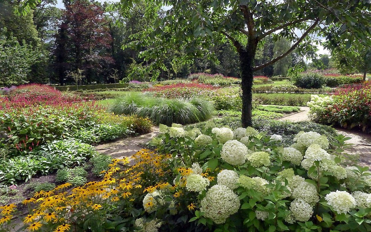 Borg Nienoord - Het Tuinpad Op / In Nachbars Garten