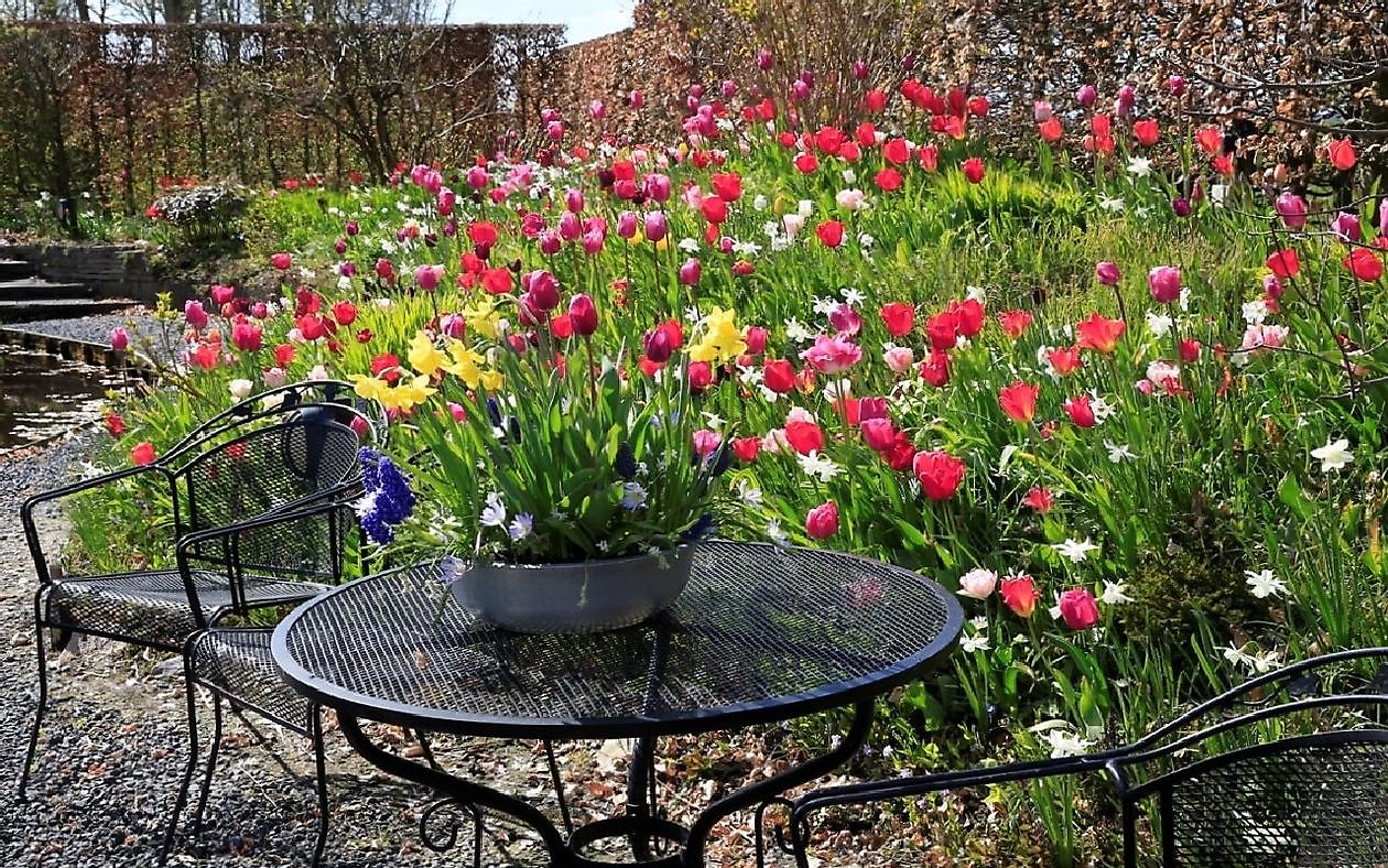 Tuinfleur - Het Tuinpad Op / In Nachbars Garten