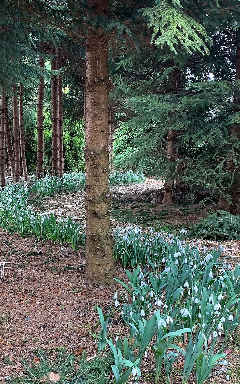 De Vier Handen - Het Tuinpad Op / In Nachbars Garten