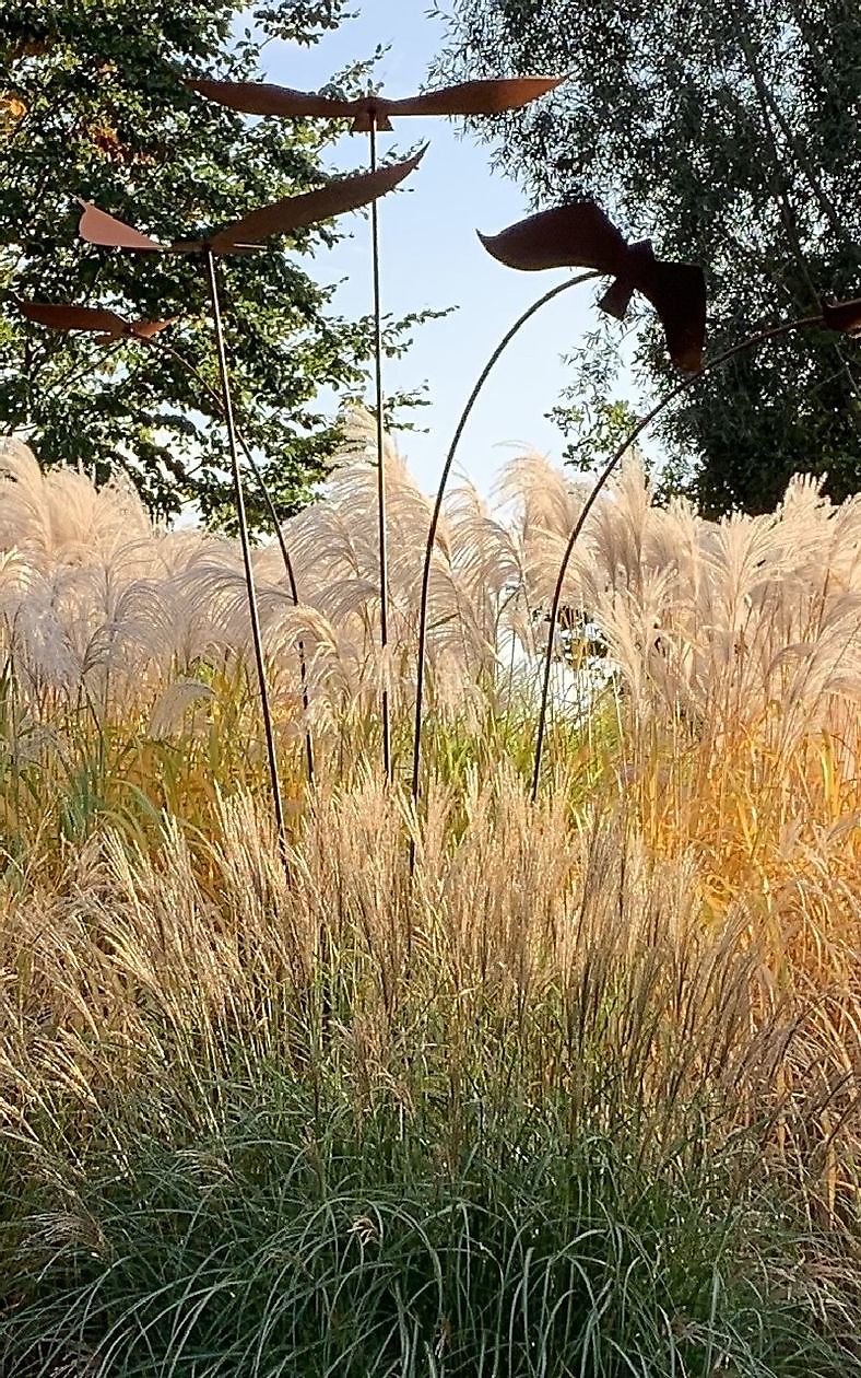 De Vier Handen - Het Tuinpad Op / In Nachbars Garten