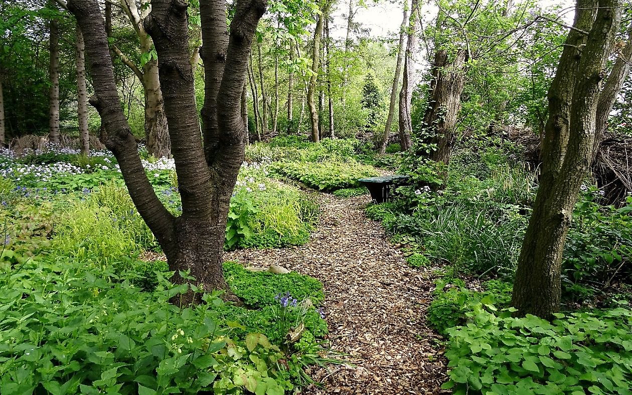 Jan Wilde een Tuin - Het Tuinpad Op / In Nachbars Garten