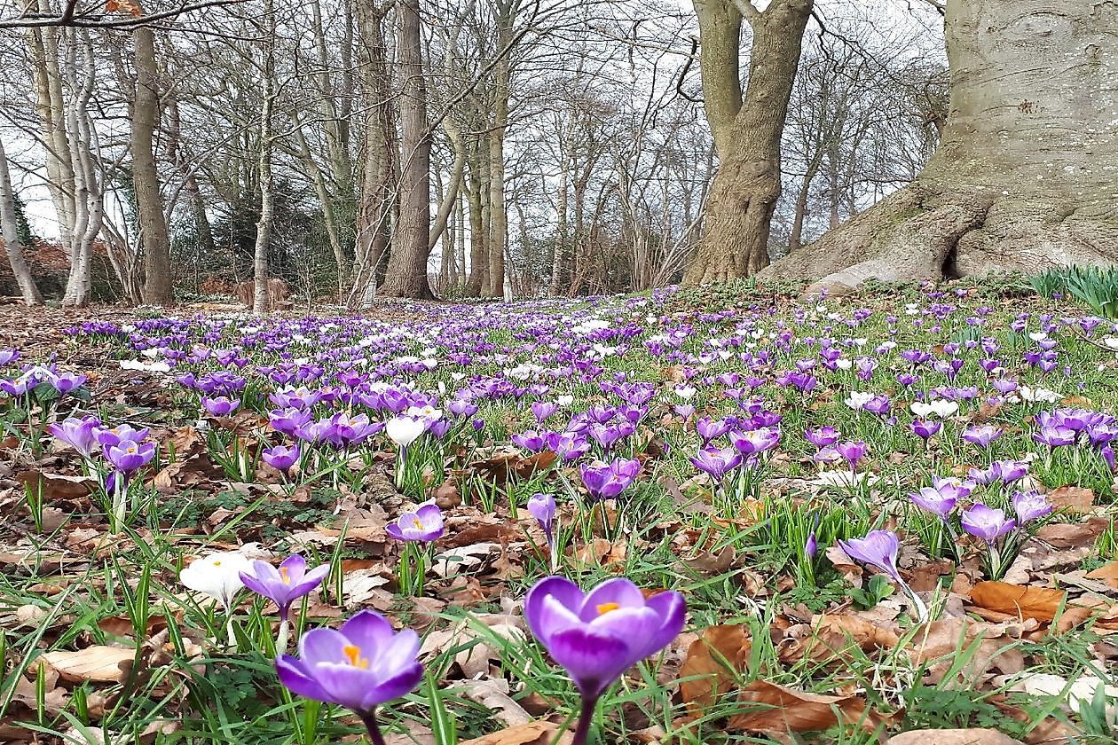 Op 't Kloosterveen - Het Tuinpad Op / In Nachbars Garten