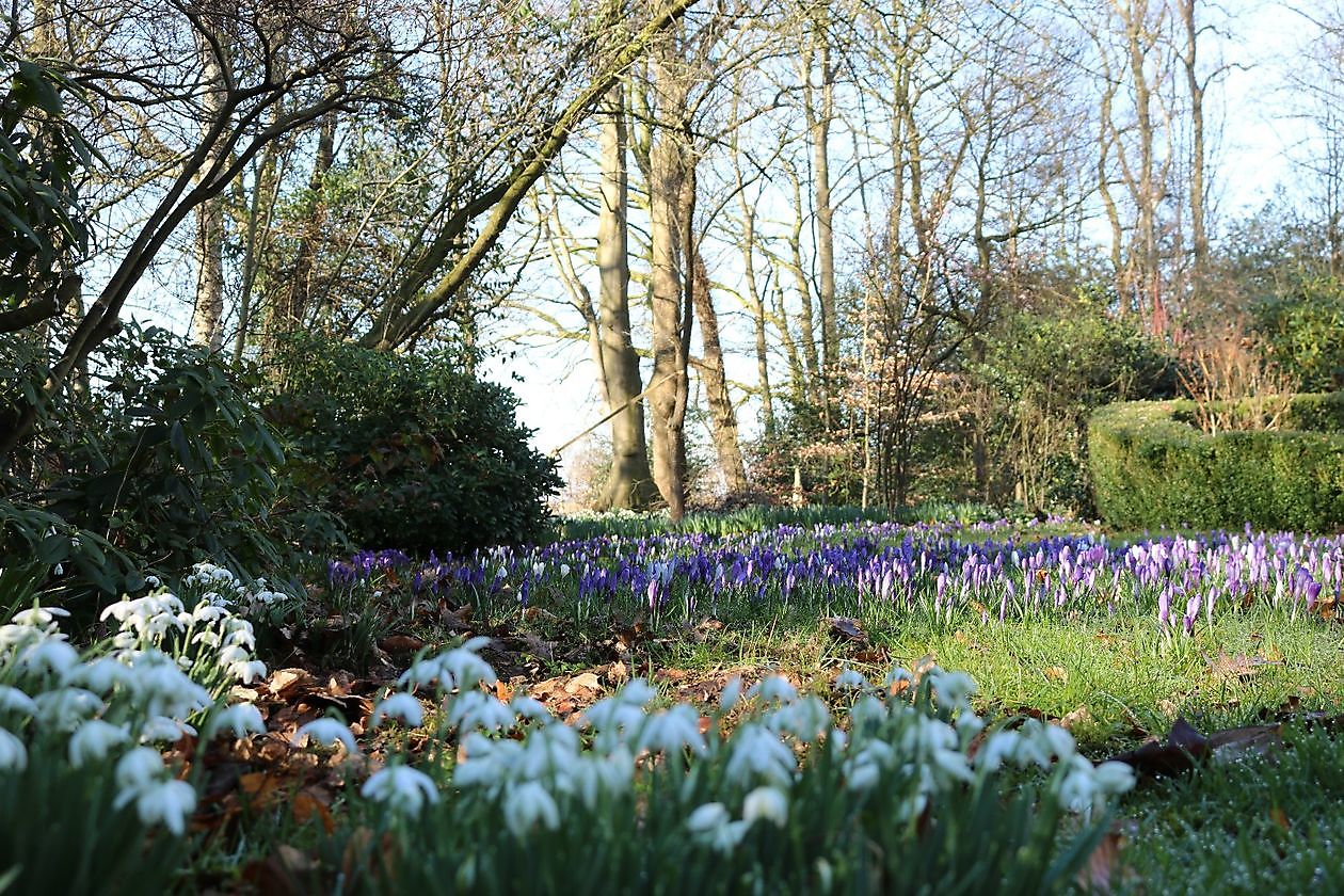 Op 't Kloosterveen - Het Tuinpad Op / In Nachbars Garten