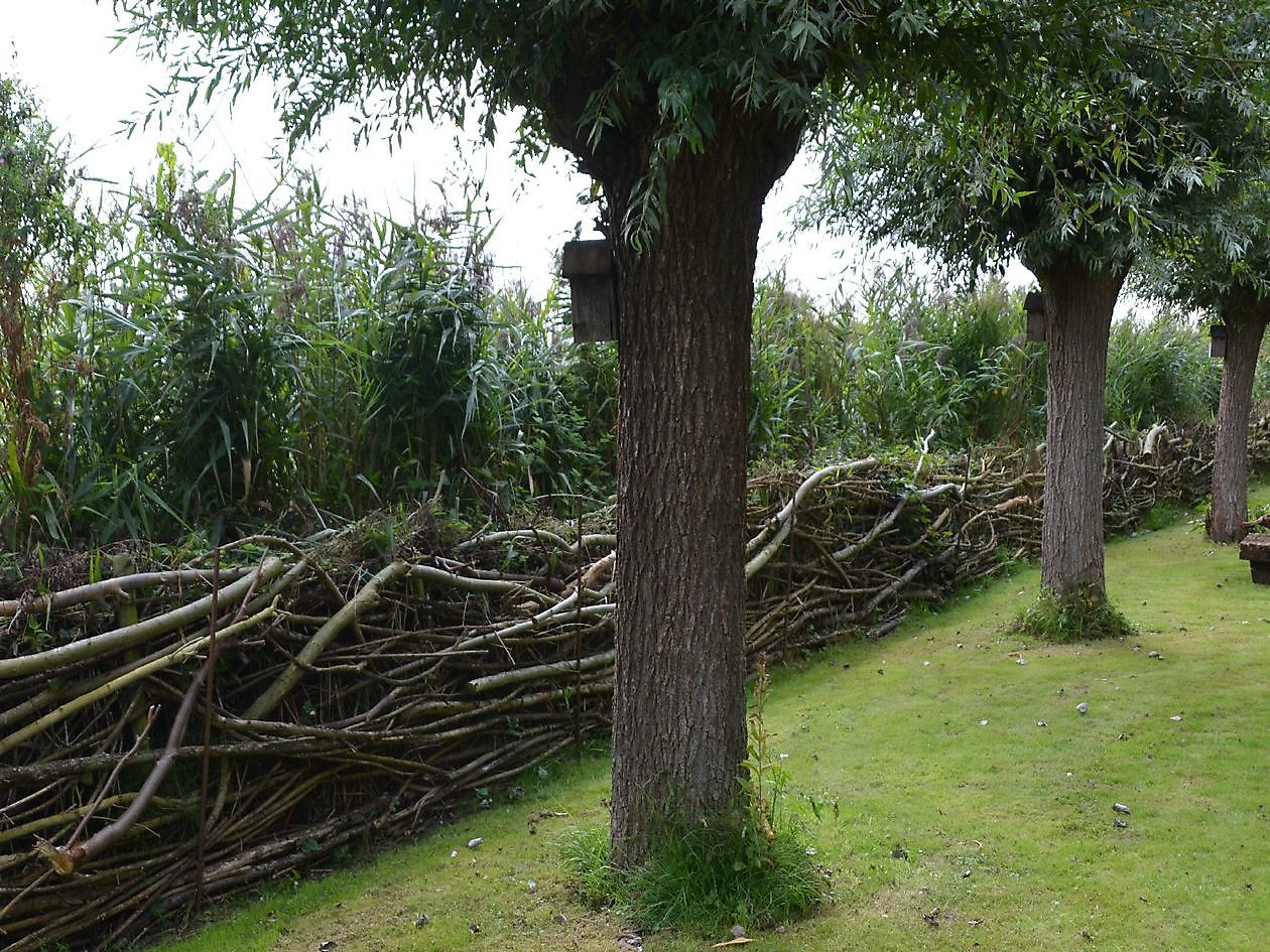 Beeldentuin Ruigstaal - Het Tuinpad Op / In Nachbars Garten