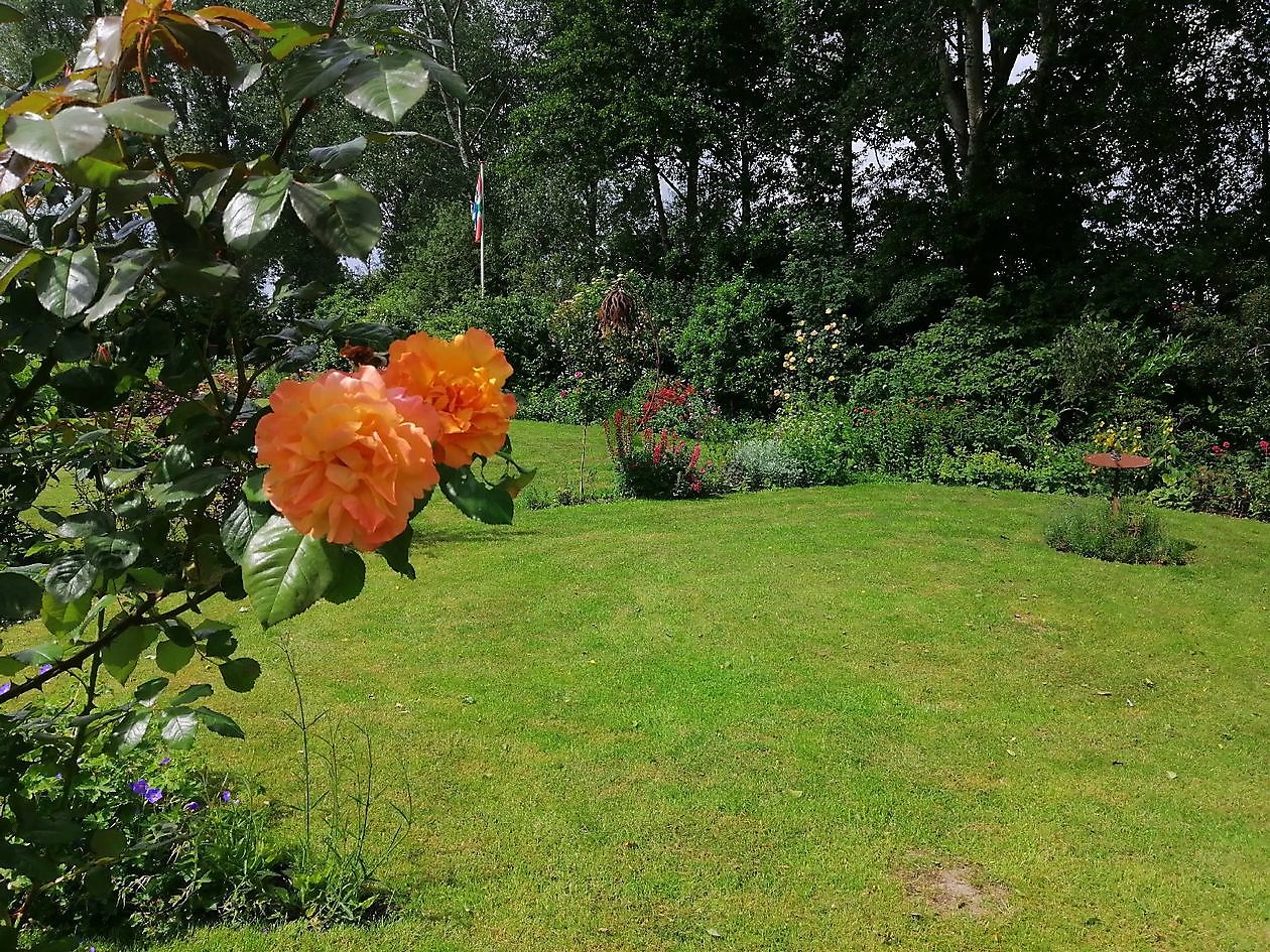 Beeldentuin Ruigstaal - Het Tuinpad Op / In Nachbars Garten