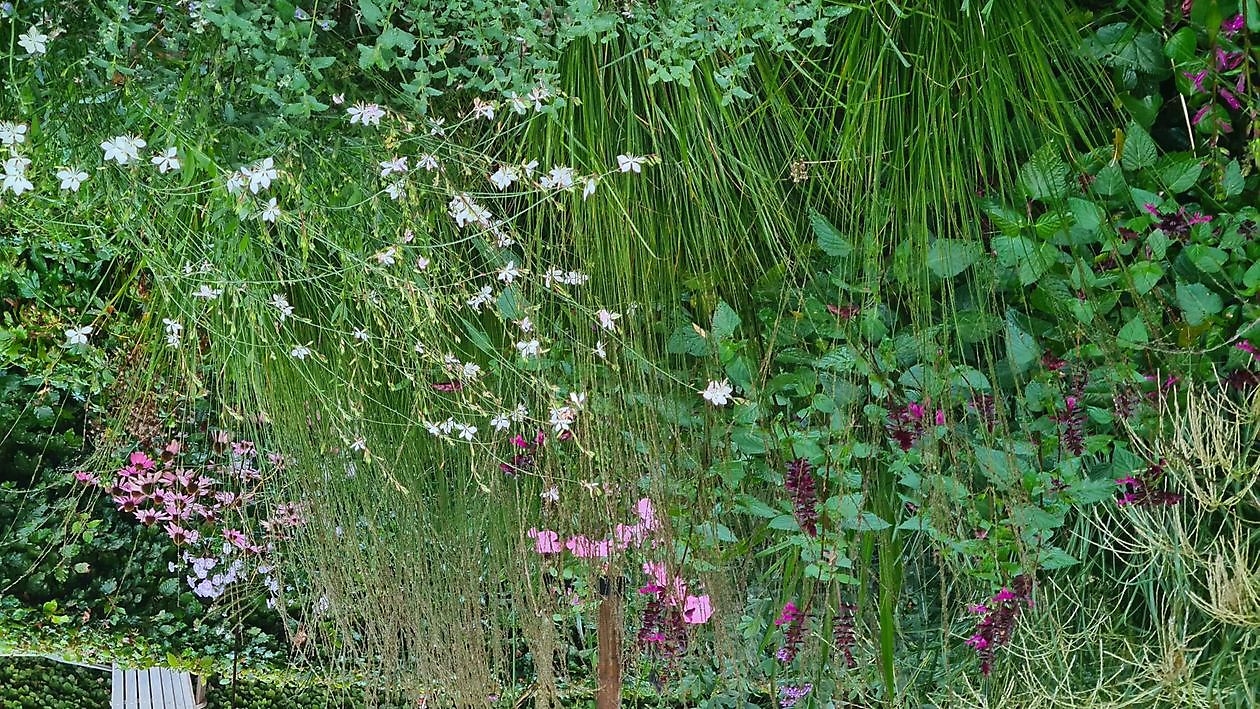 Heerloo in de Landouwen - Het Tuinpad Op / In Nachbars Garten
