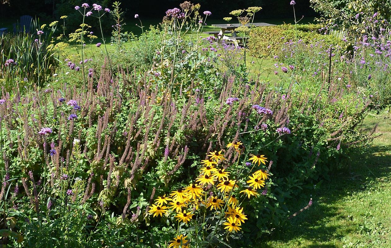 De Boerderijtuin - Het Tuinpad Op / In Nachbars Garten