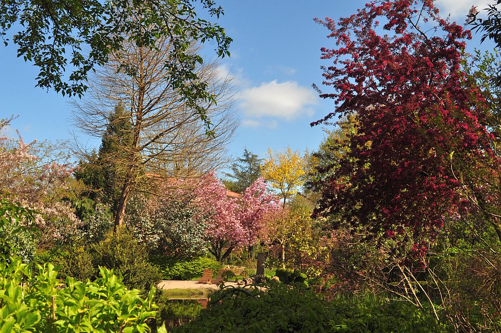 Arboretum Neuenkoop - Het Tuinpad Op / In Nachbars Garten