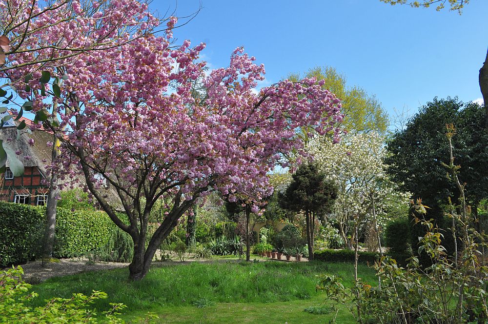 Arboretum Neuenkoop - Het Tuinpad Op / In Nachbars Garten